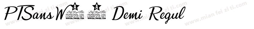 PTSansW02-Demi Regul字体转换